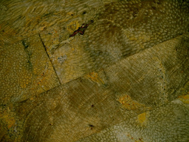 Texture 5 Day 28.jpg