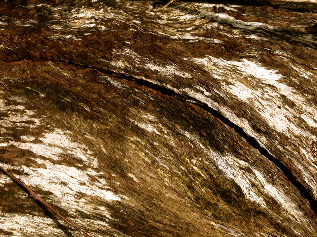 Texture 6 Day 30.jpg
