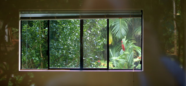 Reflection Through Window Day 2.jpg