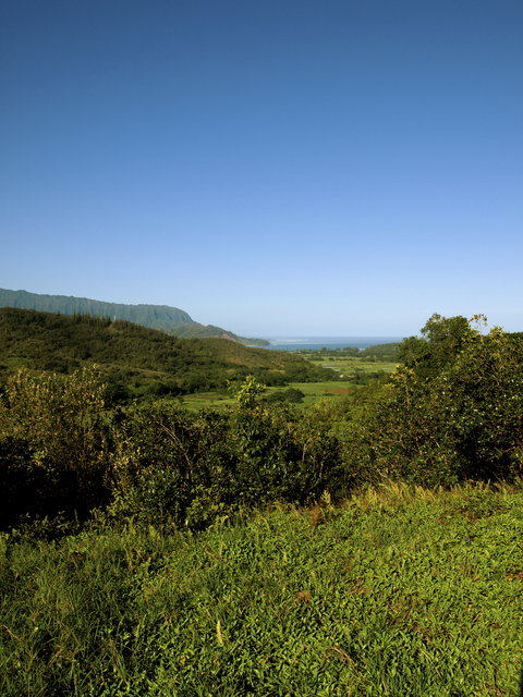 Princeville Overlooking Hanalei Valley & Bay