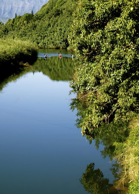 Hanalei River Looking North from Bridge