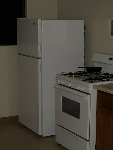 My New Refrigerator - Day 16