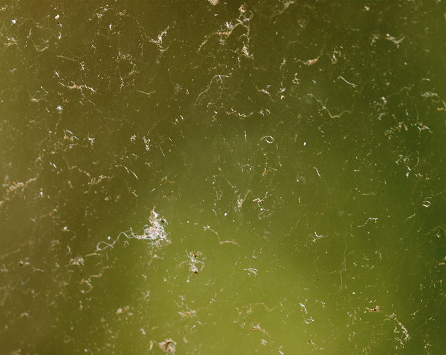 Dirty Window - Day 20