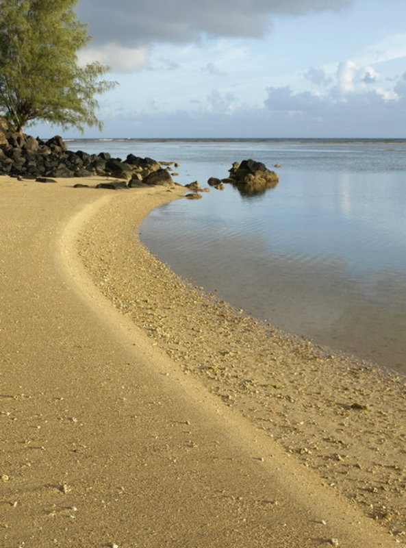 A walk on the beach
