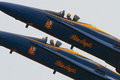 web_9782a.jpg