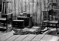 Southern Hospitality BW_edited-2.jpg