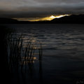 Selvellir