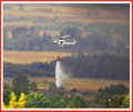 Huey-dropping-water.jpg