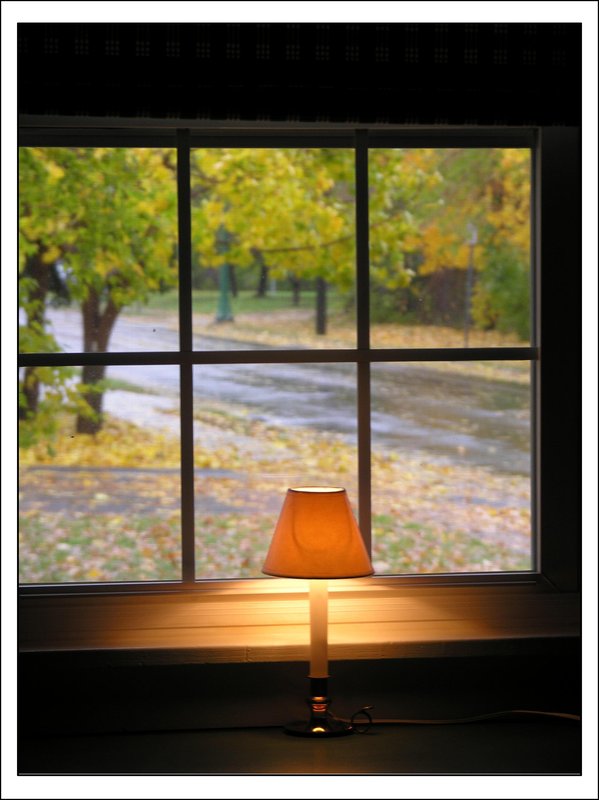 fall window view.jpg