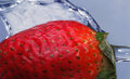 Water Glazed Strawberry