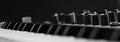 nord lead (b/w)