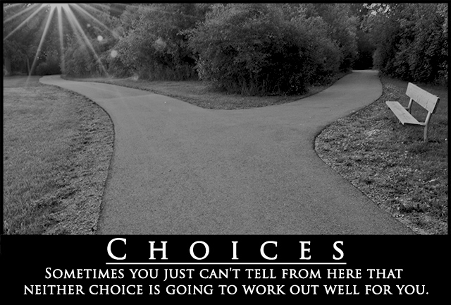 Choices-Demotivational.jpg