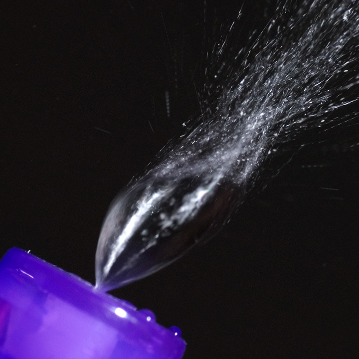 Spray Bottle