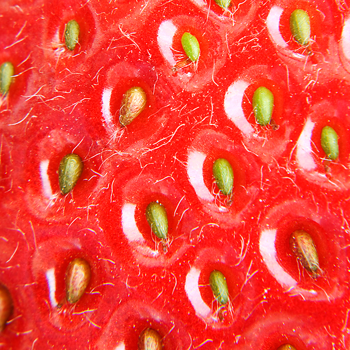 StrawPods