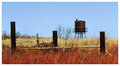 Rusty tower