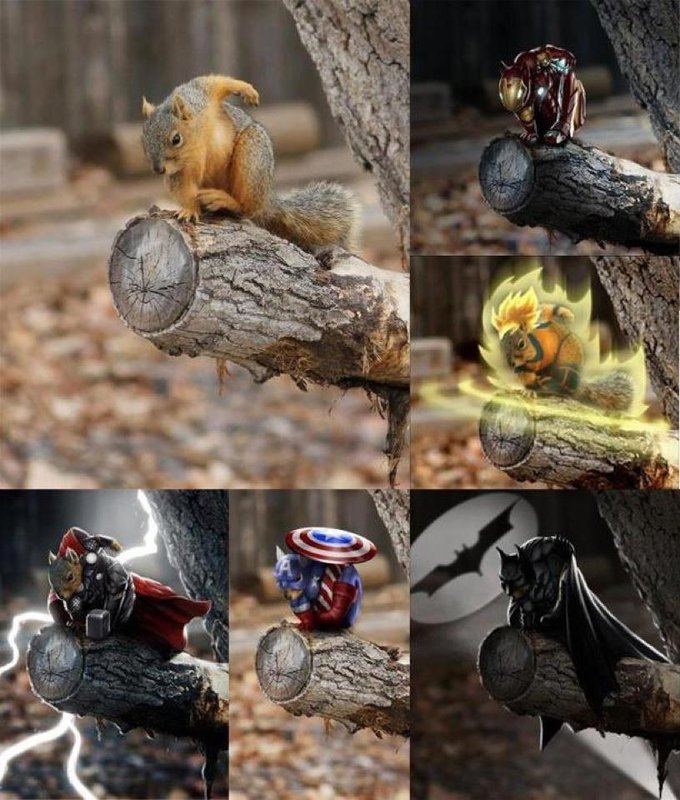 Super squirrels