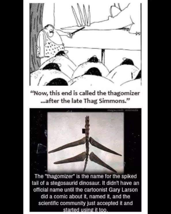 Thagomizer