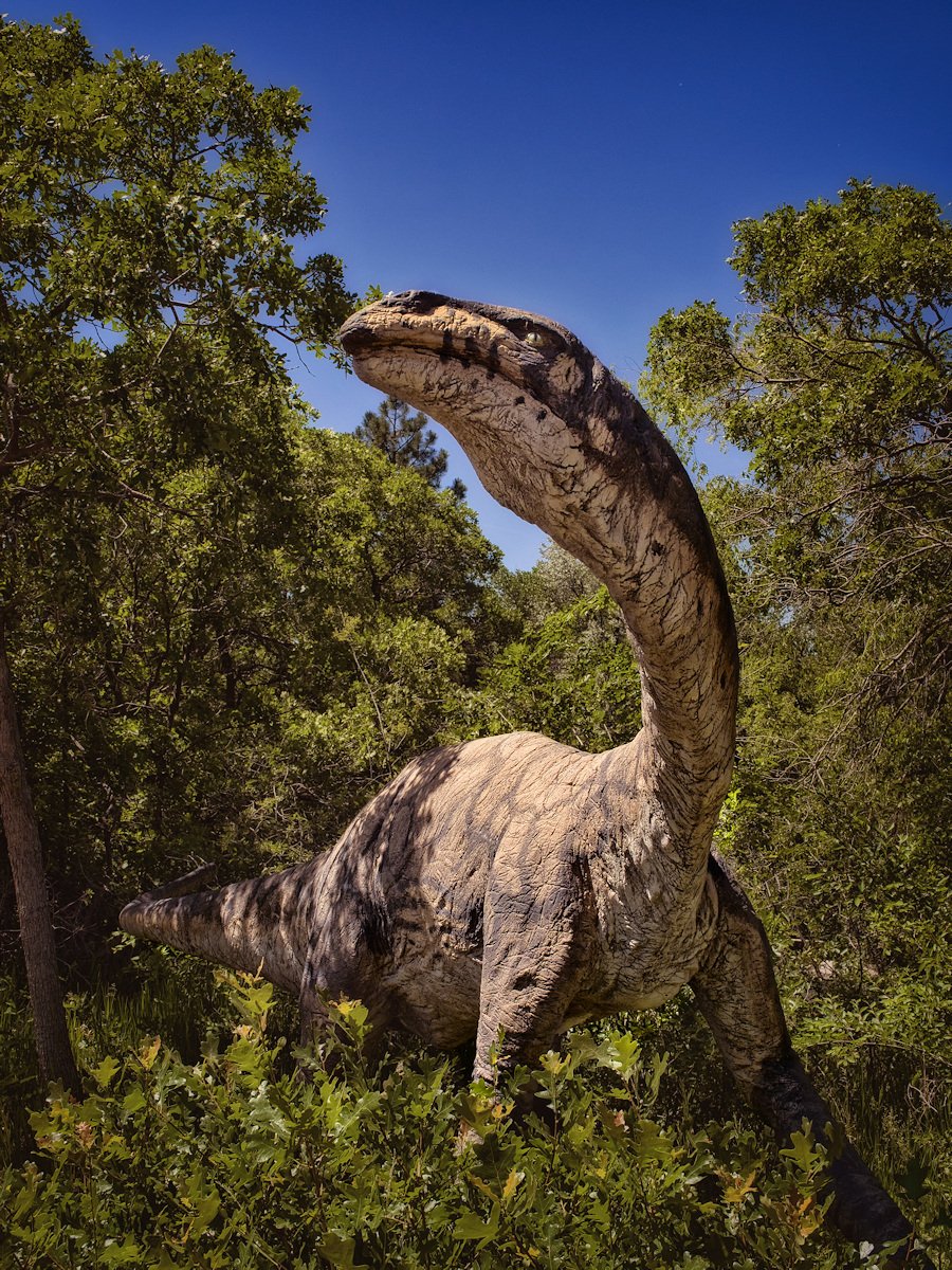 Dino1