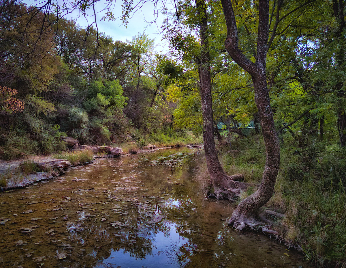 MAX_0409 1200