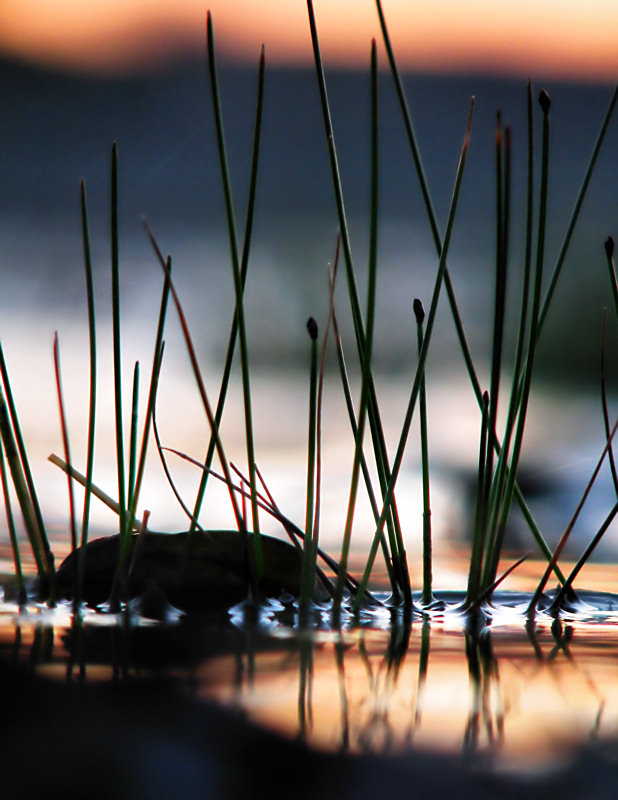 Zen garden in the ditch