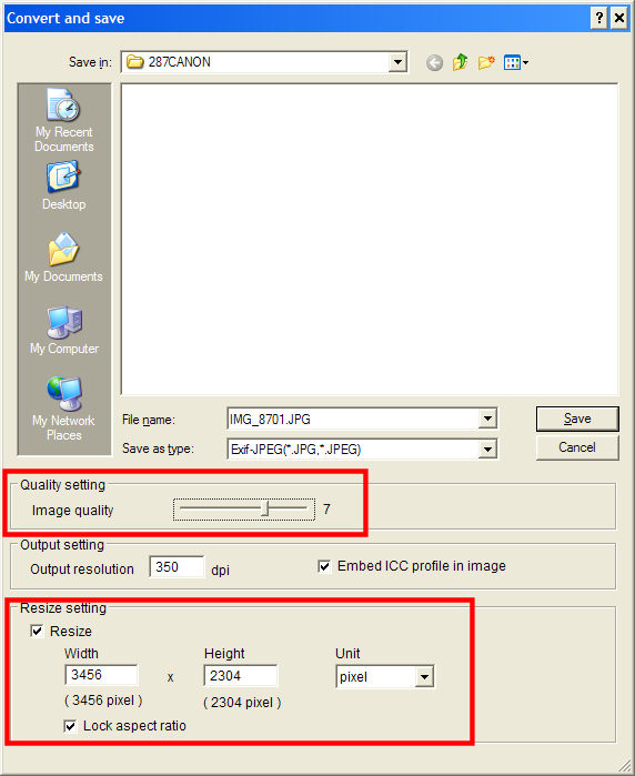 Canon DPP convert and save dialog