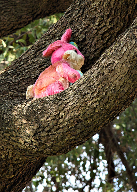 Tree bunny