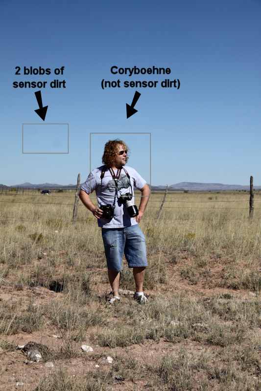 Sensor dirt1