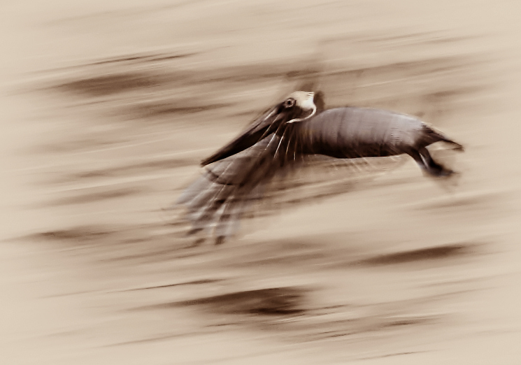 Flap