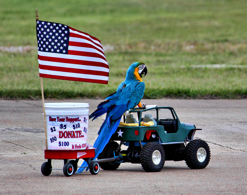 Support our troops