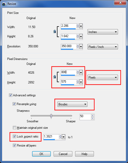 PaintShop Pro 12 resize dialog