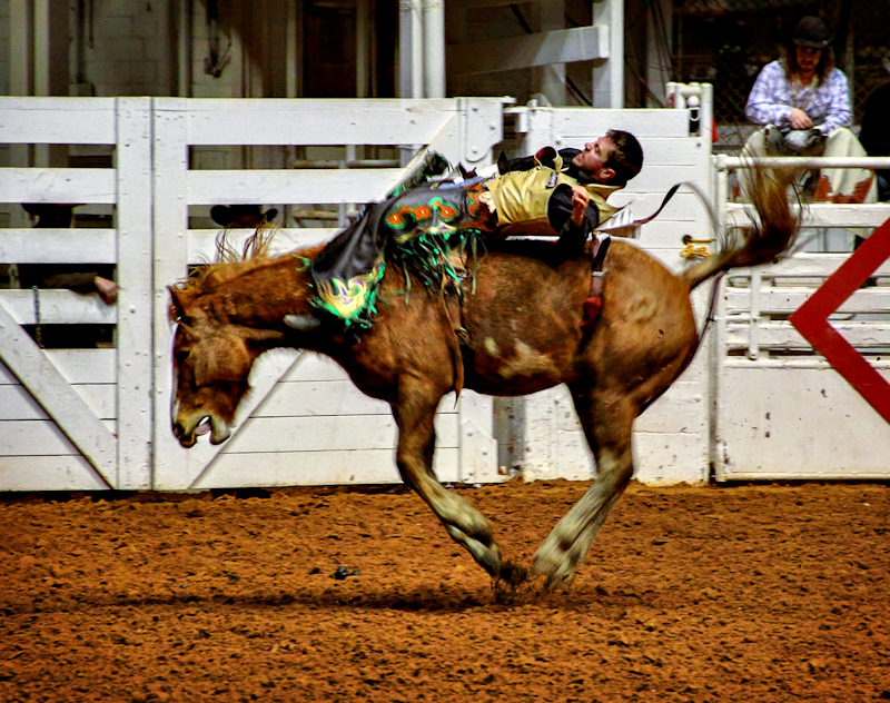 IMG_8069_ D_ L_fused crop 800