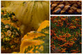 Autumn textures