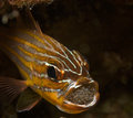 DSC_6203-copyyy.jpg