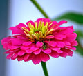 IMGP7255.jpg