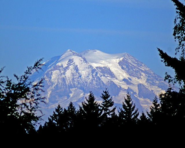 Rainier.jpg