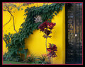 Colorful Entry 