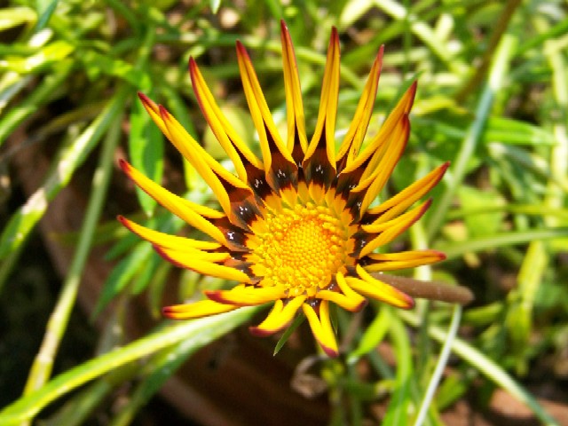 Reaching Out