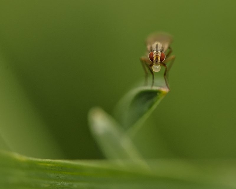 DSC_4596b