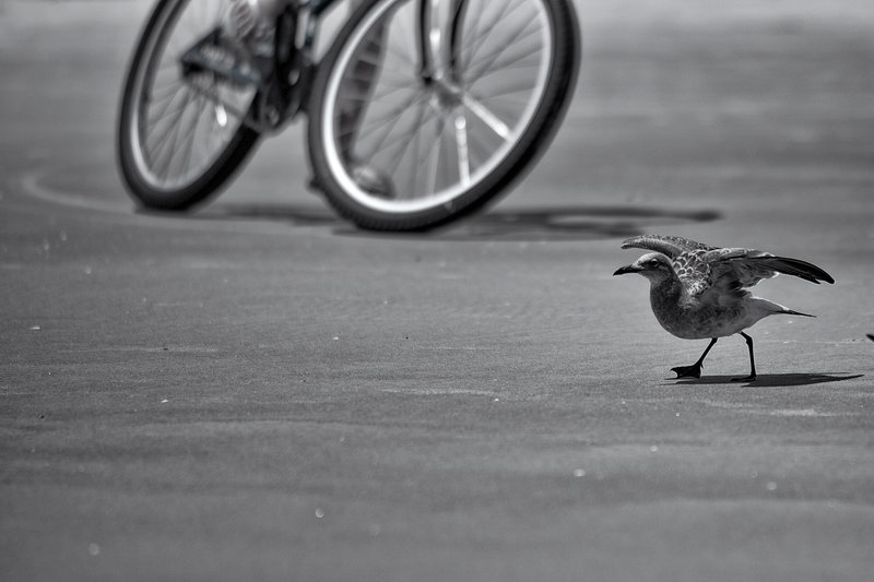 DSC_0396 - Copy2