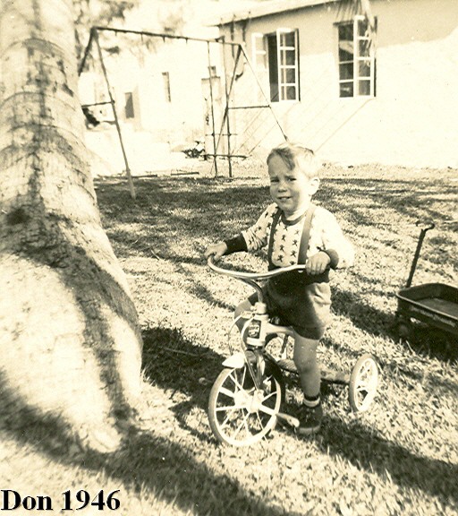 Don 1946
