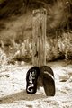 Brothers & Soles