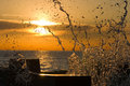 coogee sunrise splash.jpg