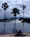 canaima venezuela.jpg