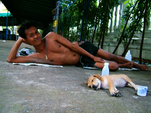 bangkokdog.jpg