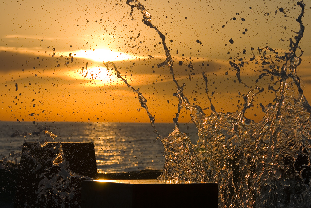 coogee sunrise splash.jpg