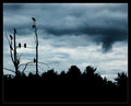 ' . substr('//images.dpchallenge.com/images_portfolio/80000-84999/84363/120/754505.jpg', strrpos('//images.dpchallenge.com/images_portfolio/80000-84999/84363/120/754505.jpg', '/') + 1) . '