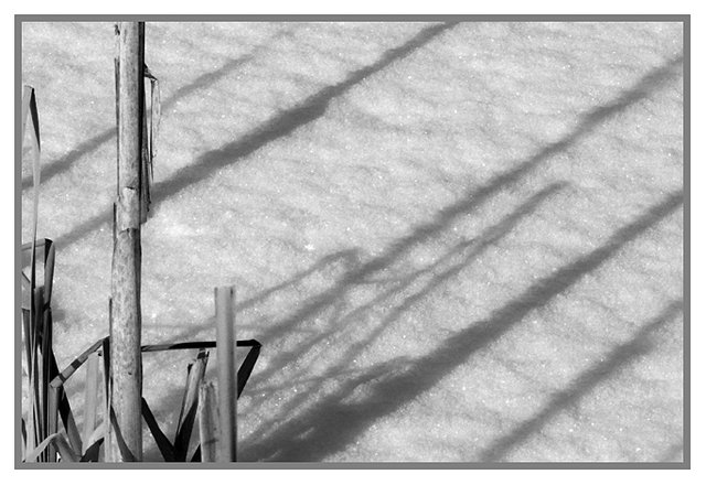 frozen pond