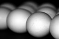 Eggs (I)