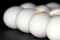 Eggs (III)