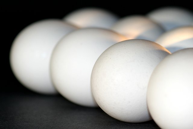 Eggs (III)